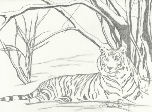 white tiger