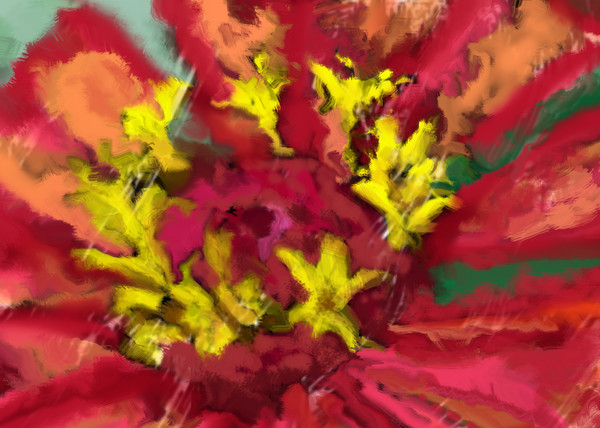 flores da flor