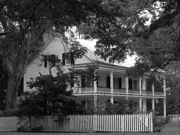 Live Oaks Plantation