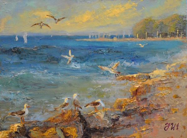 Seagulls.