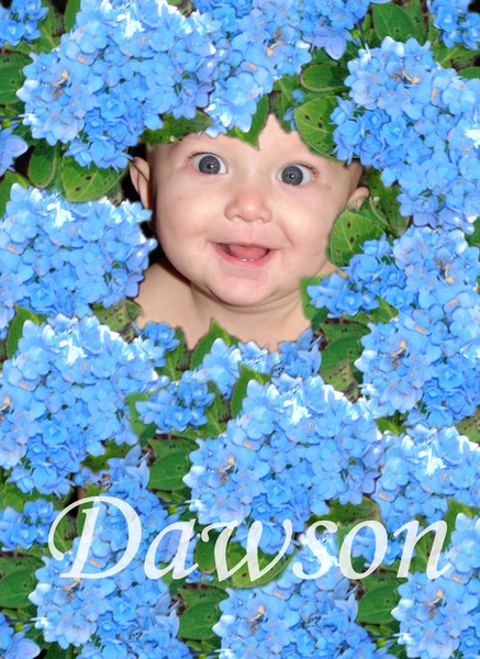 Dawson