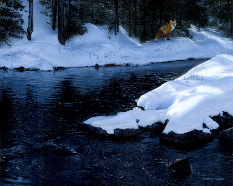 Winter Fox