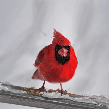 Waiting for Spring