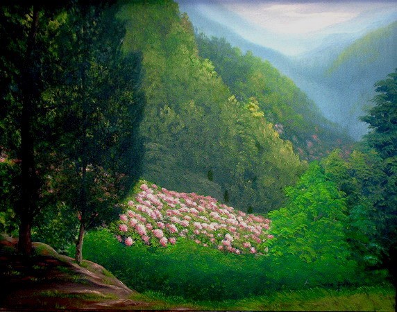 Mountain Laurel