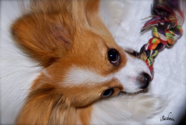 Oliver seen from different angles !