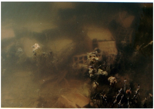 Underwater Love?