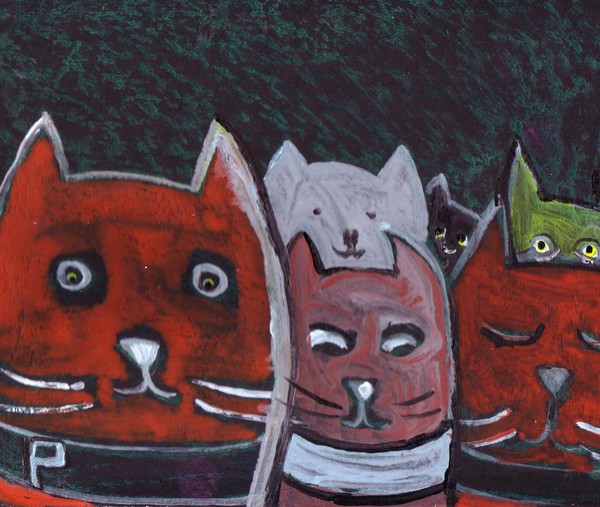 Cats