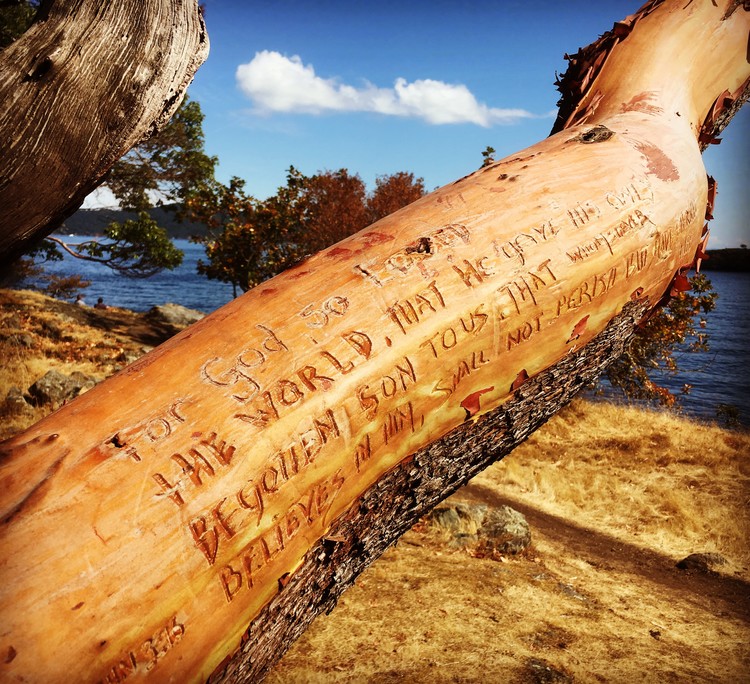 Arbutus Quote