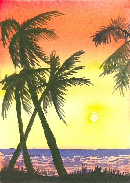 Palm tree Sunset