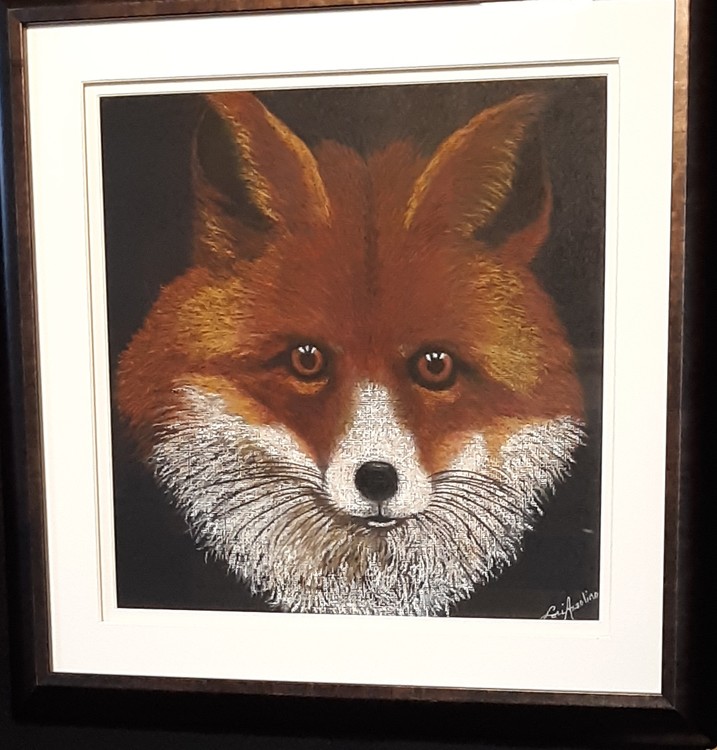 Foxy