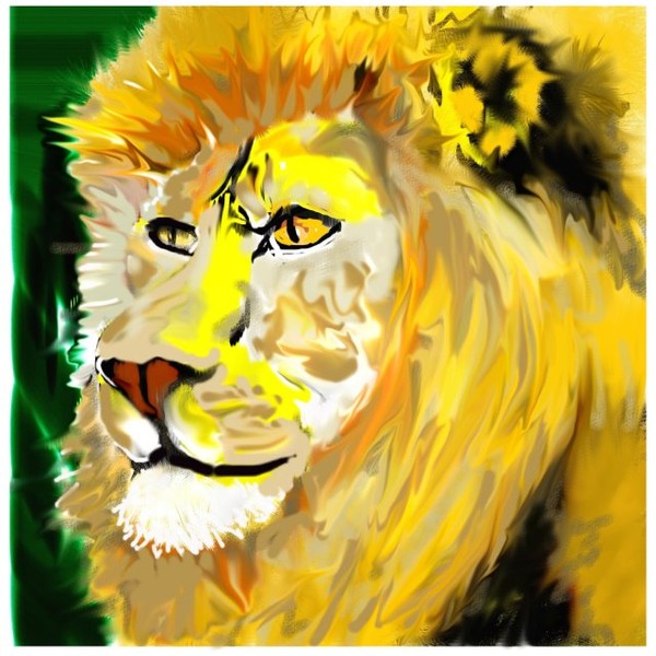 Lay it on the Lion!!!