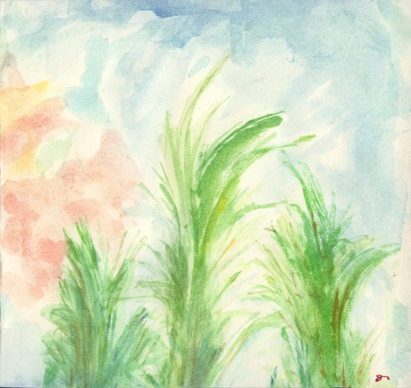 Spring