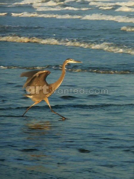 Take Off At Sundown