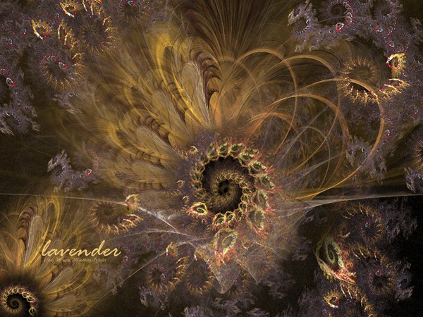 Lavender