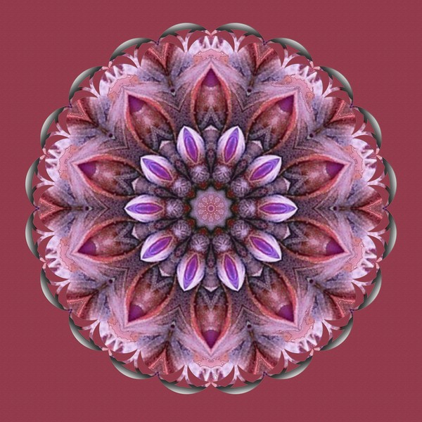 Pineapple Mandala