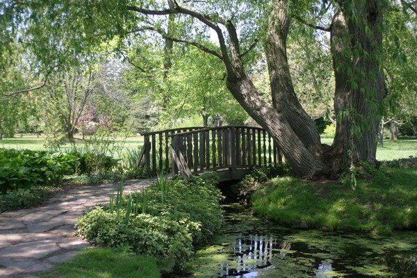 Bridge on the Pond