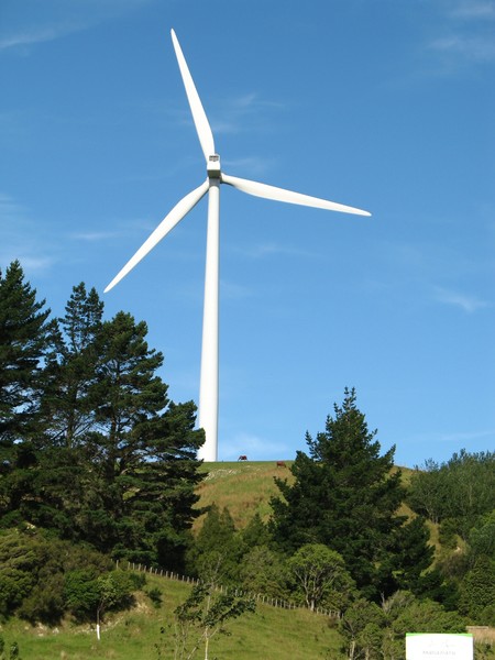 Woodville Wind