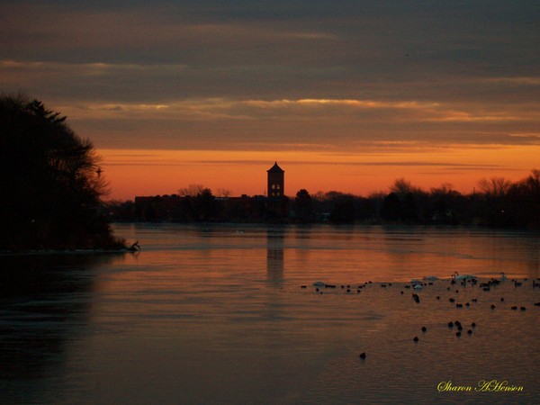 THE CLOCK TOWER