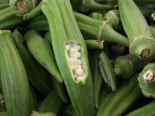 OKRA