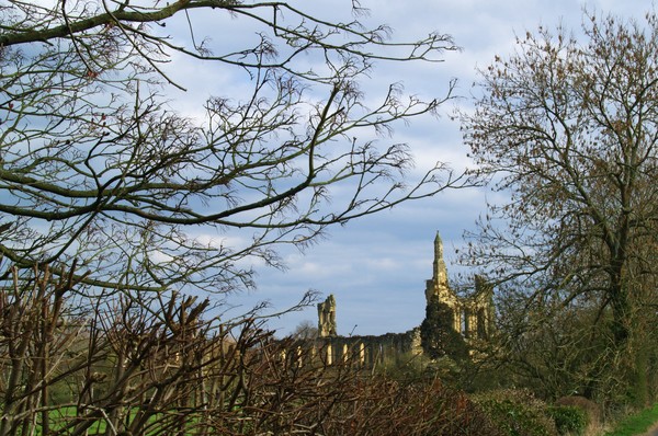 Byland Abbey from the Oldstead Road