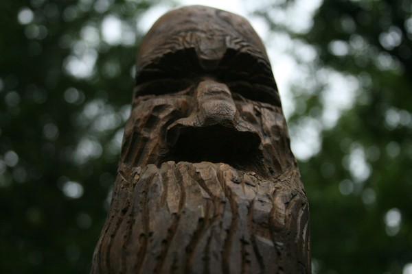 Old Man of the Woods
