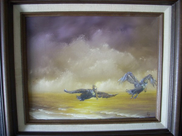 Pelican flight