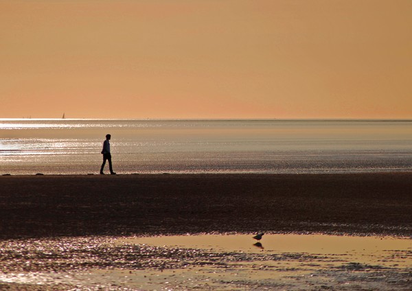 Sunset & silouette