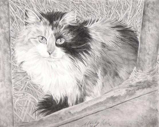 Kittenen