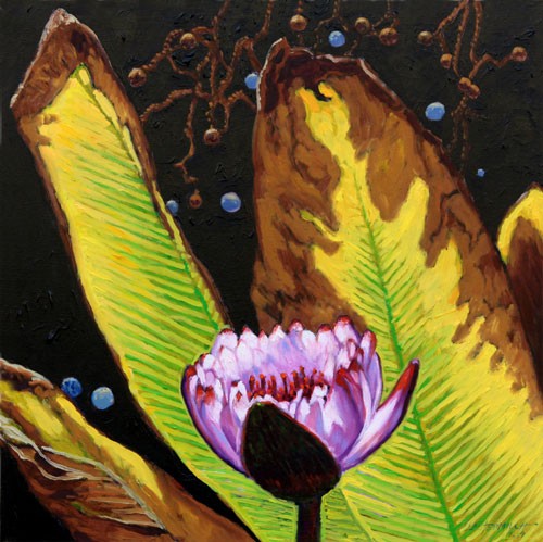 Seed's of the Universe
