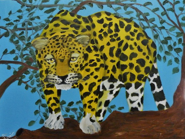 South American Jaguar on the Hunt