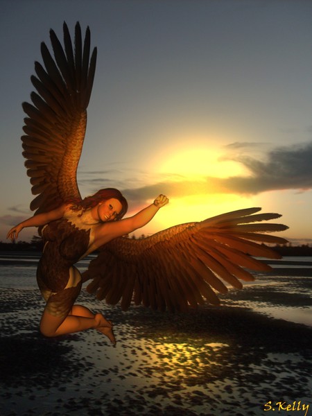 Flyer at Sunset