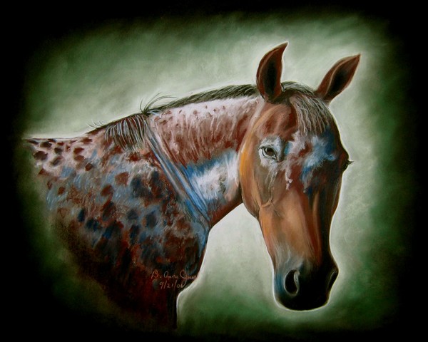 Tori the Araloosa