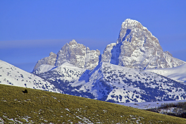 grand teton's