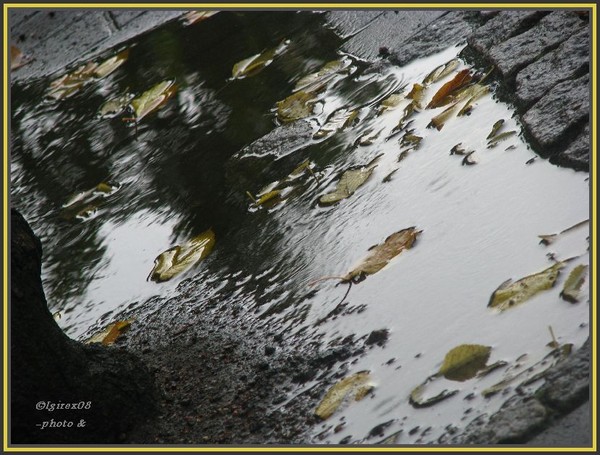 Septemberbliss2008-