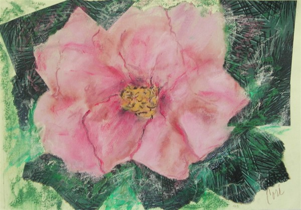 Rosy Inspirations