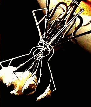 2244.web.fc2.com