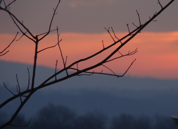 sunrise