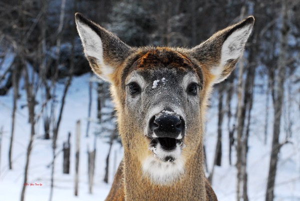Do Smile for the Camera! :)