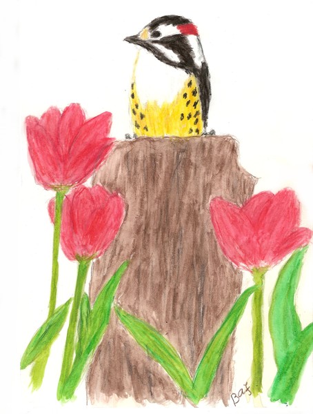 Bird on a Stump