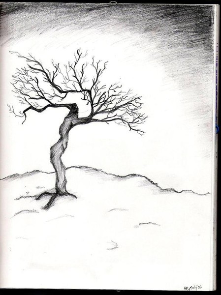 dieing tree