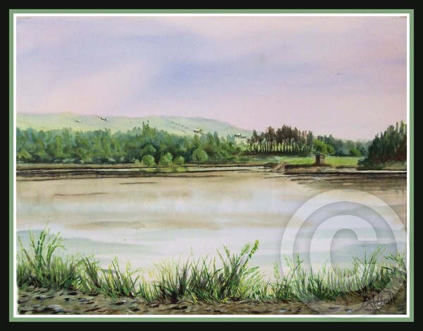 Entwistle rising.