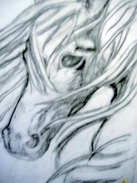 horse