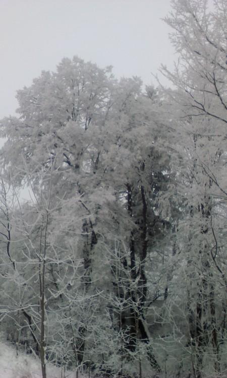 Winter time!