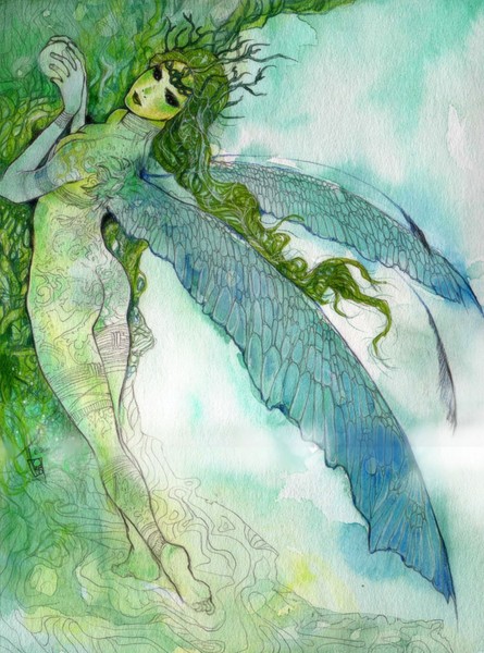 Nymph