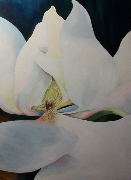 Magnolia