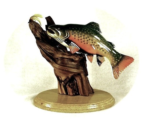 Brook Trout