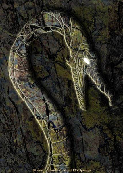 Tryptich of the dragon's rune  Ardhran : part 1