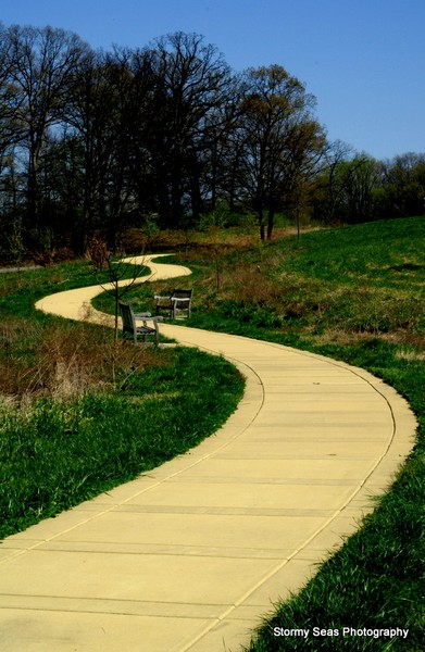 Not so secluded path