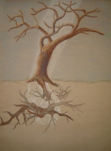 Human Potential, 2006