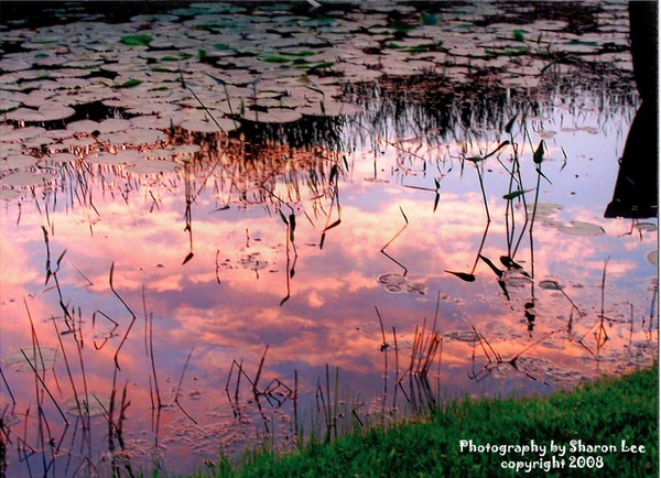 Lake Sunset